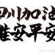 Sora Aoi’s message to China, “Go, Sichuan. Peace to Ya’an.”